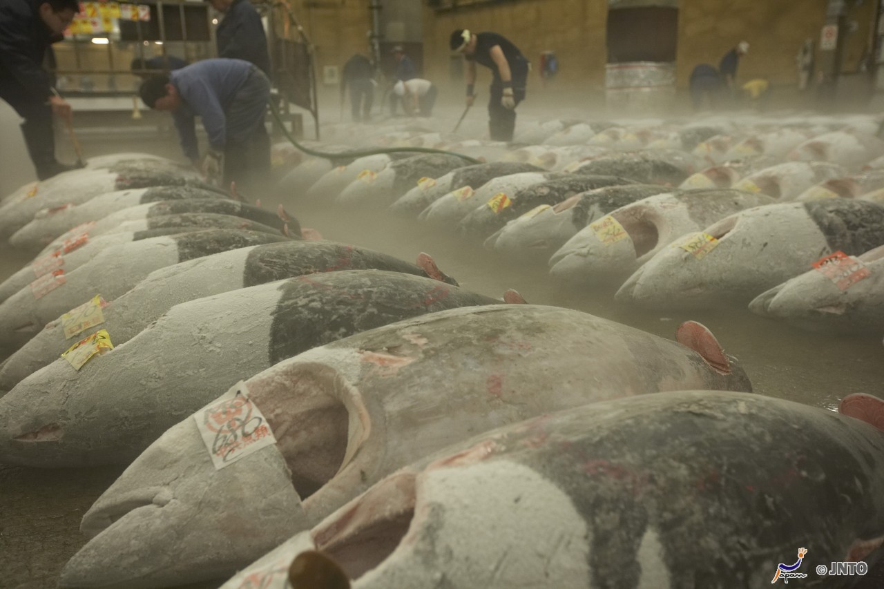 Tsukiji-Fischmarkt