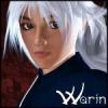 Warins Avatar